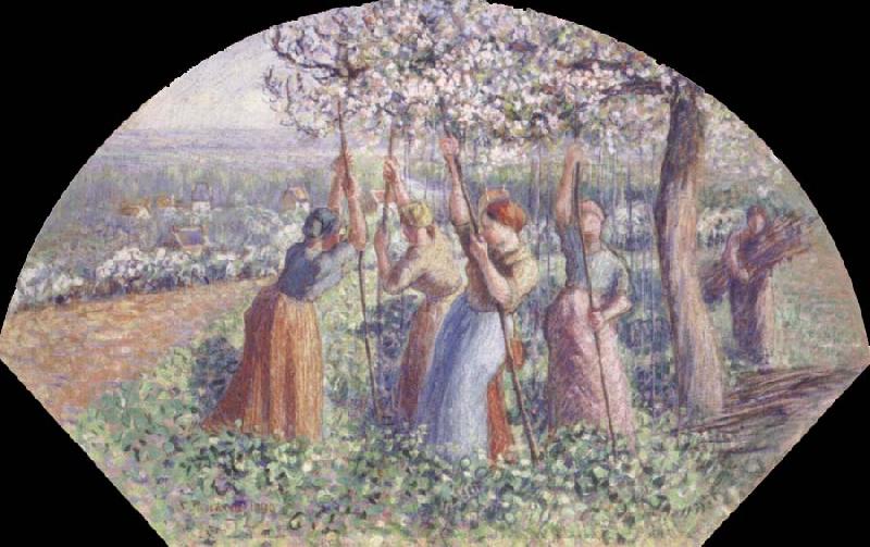 Camille Pissarro Peasant Women Placing pea-Sticks in the Ground oil painting image